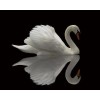 2019 Special Art Swans Pattern Wall Decor 5d Diy Diamond Painting Kits UK VM9934