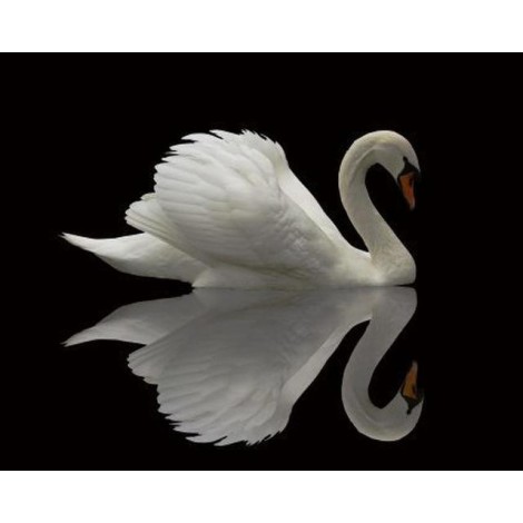 2019 Special Art Swans Pattern Wall Decor 5d Diy Diamond Painting Kits UK VM9934
