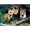 2019 New Hot Sale Mosaic Decor Animal Fox 5d DIY Diamond Painting Kits UK VM8293