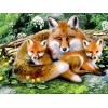 2019 New Hot Sale Mosaic Painting Home Decor Fox DIY Diamond Painting Kits UK VM8291