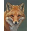 Hot Sale Fox 5D DIY Cross Stitch Diamond Painting Kits UK NA0812