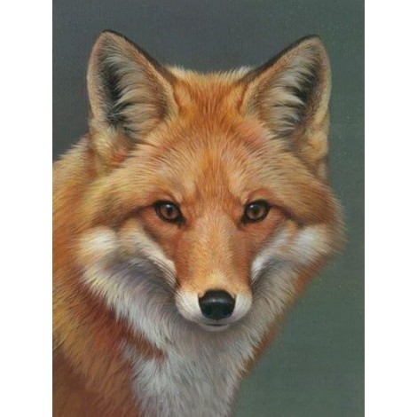 Hot Sale Fox 5D DIY Cross Stitch Diamond Painting Kits UK NA0812
