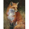 Cheap Fox 5D DIY Embroidery Cross Stitch Diamond Painting Kits UK NA0813