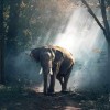 Elephant 5D Diy Diamond Painting Kits Uk Cross Stitch VM90953