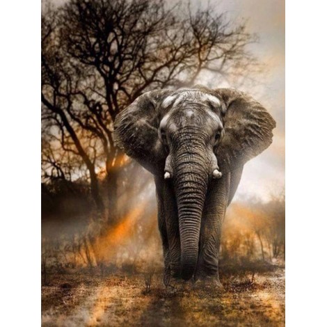Cheap Hot Sale Elephant In Natural 5d Diy Diamond Painting Kits UK VM1002