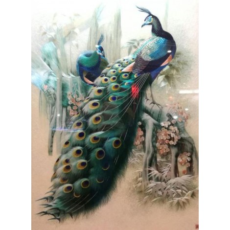 Dream 5D DIY Diamond Painting Two Peacocks Embroidery VM90856
