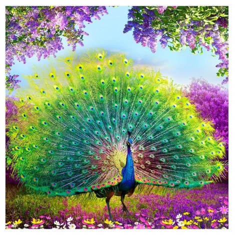 Beautiful Peacock 2019 New Hot Sale 5d Diamond Embroidery VM1040