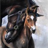 Horse 5D DIY Diamond Painting Kits UK Embroidery Cross Stitch Art VM91045