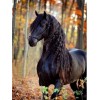 Horse 5d Diy Diamond Painting Kits , Special Offer, Can't Buy 2 Get 1 Free VM7365