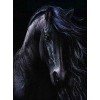 5d Diamond Art 2019 New Hot Sale Black Horse Diy Diamond Painting Set UK VM7769