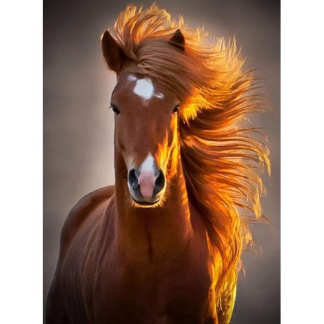 New Horse Full Drill 5D DIY Diamond Painting Kits UK VM92173