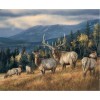 New Arrival Hot Sale Deer Pattern Home Decor 5d Diy Diamond Painting Kits UK VM9819