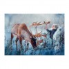 Winter Fantasy Styles Deer Diamond Painting Kits UK For kids AF9143