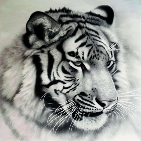 Black And White Tiger 5d Diy Full Diamond Painting Tiger Kits UK VM53007