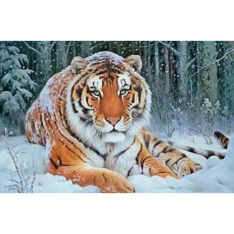 2019 Winter Popular Wall Decor Tiger 5d DIY Diamond Painting Kits UK VM8196