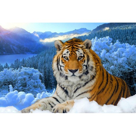 2019 Winter Snow Mountain 5d Diy Diamond Painting Tiger UK VM3598