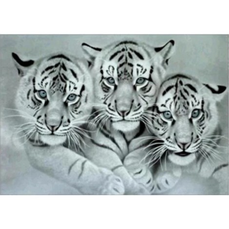 Black White Special Animal Tiger 5d Diy Diamond Painting Kits UK QB5066