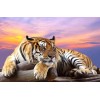 2019 Pattern Tiger Full Drill 5D Diy Diamond Painting Kits Uk Cross Stitch VM90316