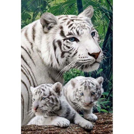 2019 5D Diy Diamond Painting Cross Stitch Animal White Tiger Embroidery VM90020