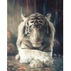 2019 New Hot Sale Full Square Tiger Decor 5d Diy Diamond Painting Kits UK VM9749