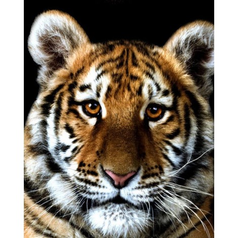 Cheap 2019 New Animal Portrait 5d Diy Diamond Painting Tiger UK VM1999