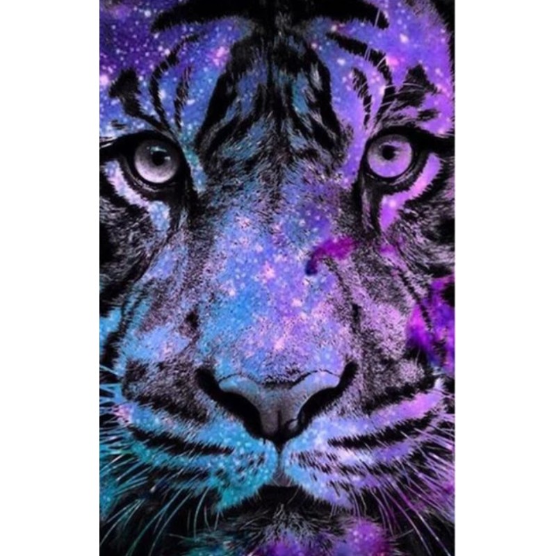 2019 Special Animal ...