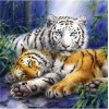 Dream 2019 Animal Tiger 5d Cross Stitch Diy Painting By Crystal Kits UK QB5094
