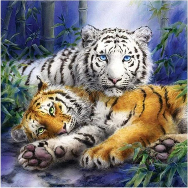 Dream 2019 Animal Ti...