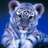 Dream  Cute Little Tiger Close Up 5d Cross Stitch UK Rhinestone Painting VM1215