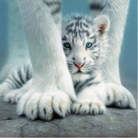 2019 New Dream Tiger 5d Diy Cross Stitch Diamond Painting Kits UK QB5072