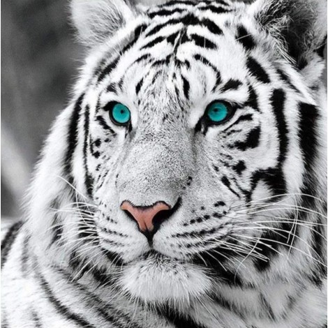 For Beginners Tiger Picture 5d Diy Cross Stitch Diamond Painting Kits UK QB6431