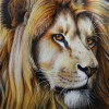 5D DIY Diamond Painting Lion Embroidery Cross Stitch Art VM90503