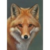 New Hot Sale Animal Wolf Portrait 5d Diy Diamond Painting Full Kits UK VM8402