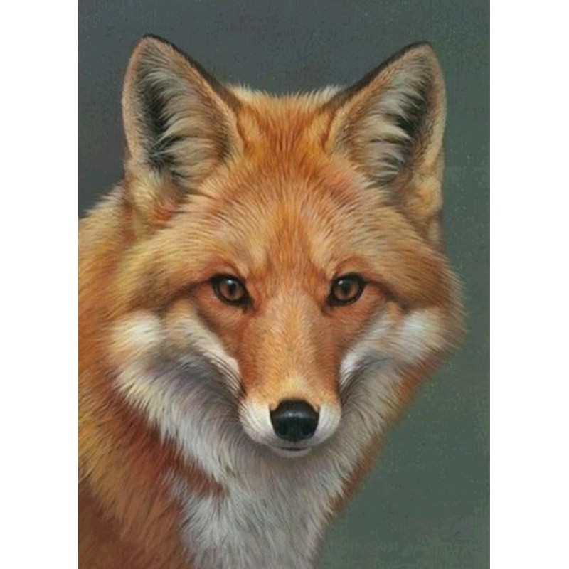 New Hot Sale Animal ...