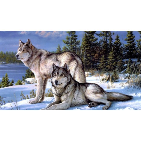 2019 Best Gift Two Wolves In Winter Diy 5D Mosaic Diamond Painting UK VM5000