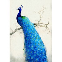 Large Size Blue Peacock 5...
